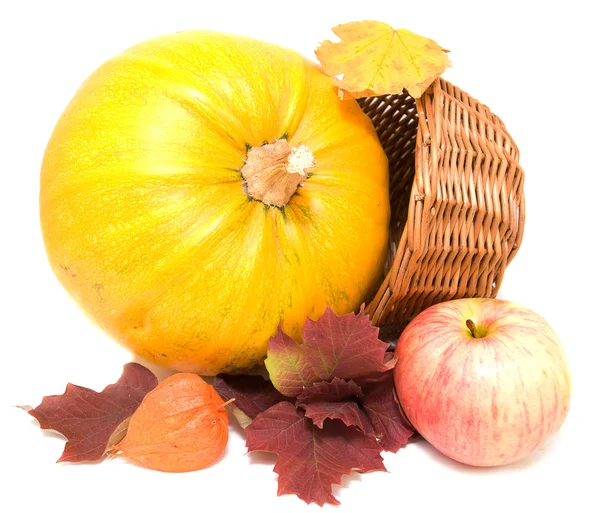 Abóbora, folhas de outono e maçã — Fotografia de Stock