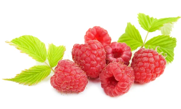 Raspberries — Stock Photo, Image