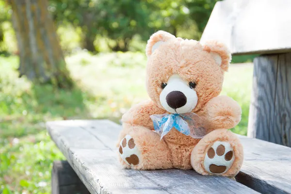Teddy bear on the bench — Stock Photo, Image