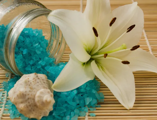 Sól morska i lilia — Zdjęcie stockowe