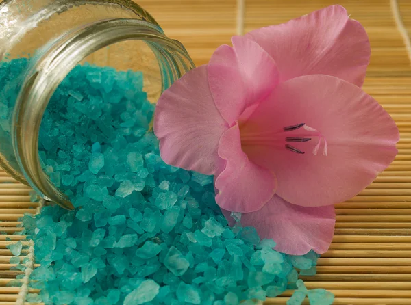 Sea salt and flower — Stock Photo, Image