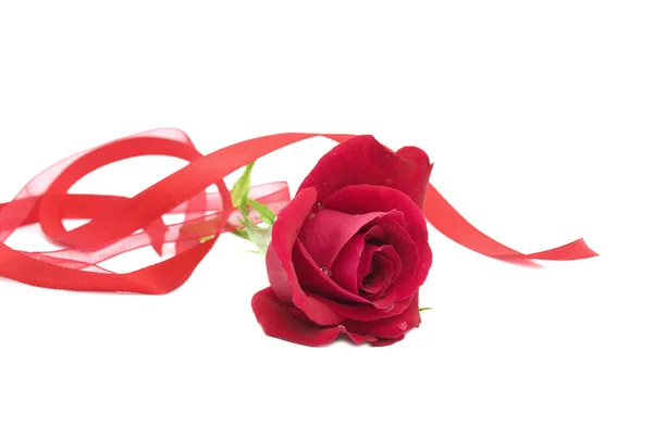 Rosa roja con cinta — Foto de Stock
