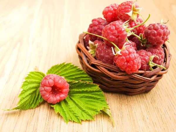 Framboises dans le panier — Photo