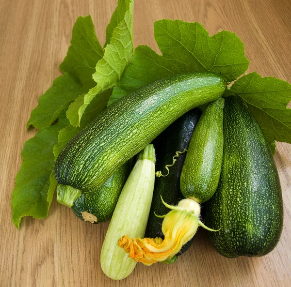 Marrows — Stock Photo, Image