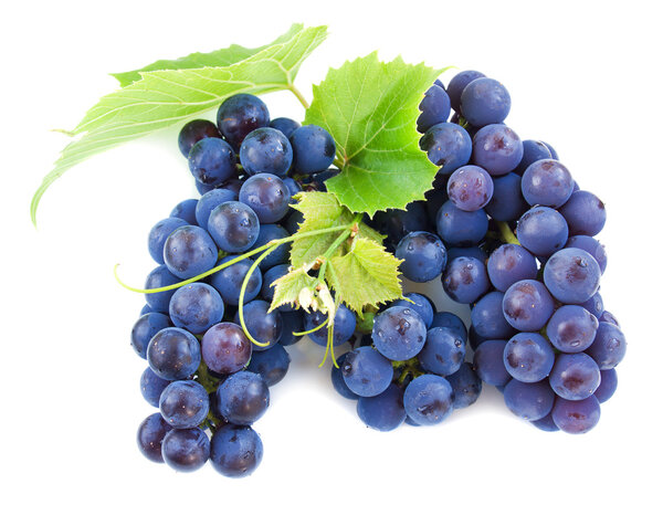 Grape with green leaves