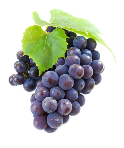 Grape with green leaves