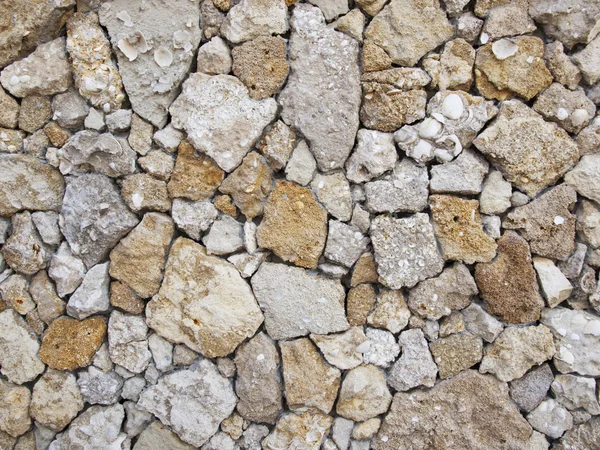 Wand aus einem Muschelfelsen — Stockfoto