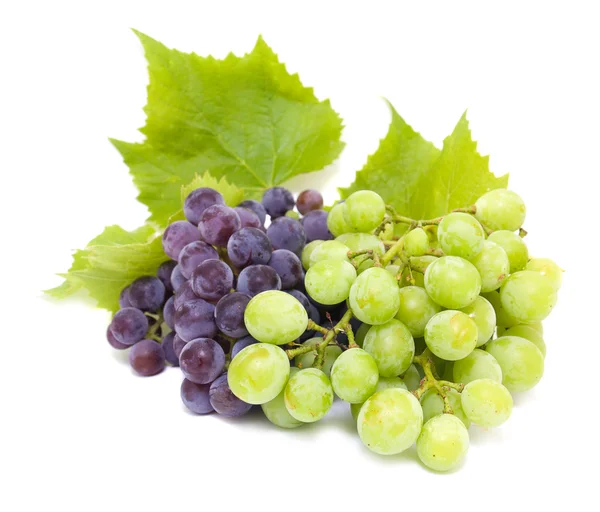 Синий и белый виноград с листьями — стоковое фото