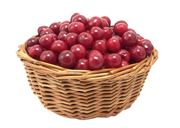 Cerises dans un panier — Photo