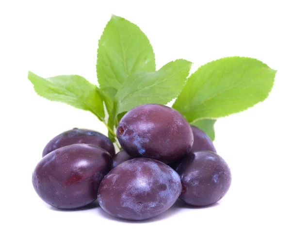 Plums with green leaves — Stock Photo, Image