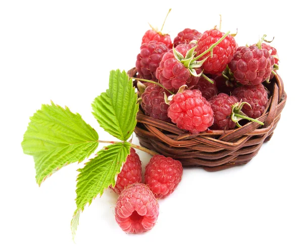 Raspberries in the basket — Stock Photo, Image