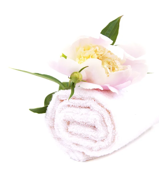 Spa havlu ile çiçek — Stok fotoğraf