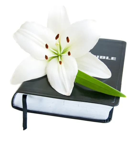 Easter Lily and Bible — Stock Photo, Image