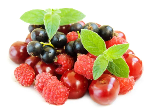 Summer berries — Stock Photo, Image