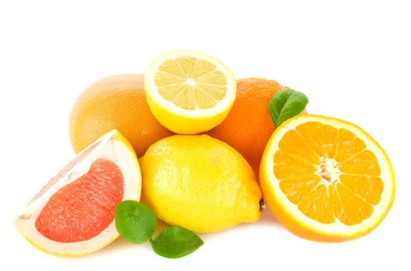 Citrusfrukter — Stockfoto