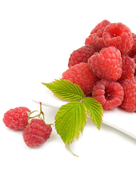 Raspberries on the plate — Stock Photo, Image