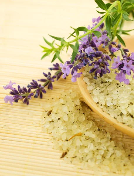 Herbal sea salt and lavender — Stock Photo, Image