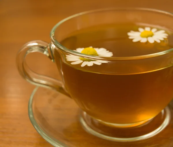 Gyógynövény a kamilla tea — Stock Fotó