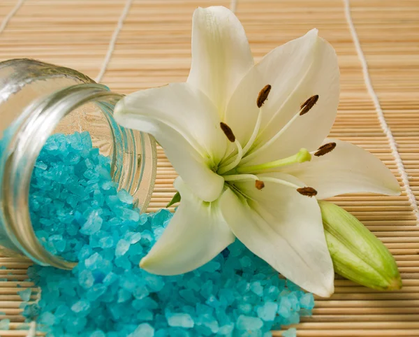 Sea salt and lily — Stock Photo, Image