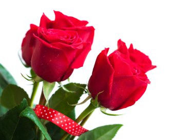 Bir buket kırmızı gül.