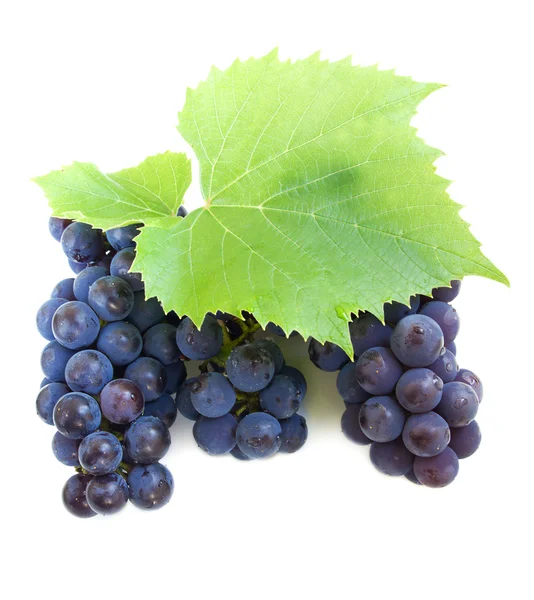 Grape with green leaves — Stock Photo, Image