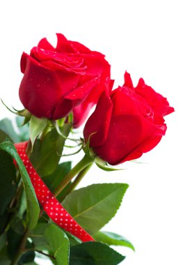 Bir buket kırmızı gül.