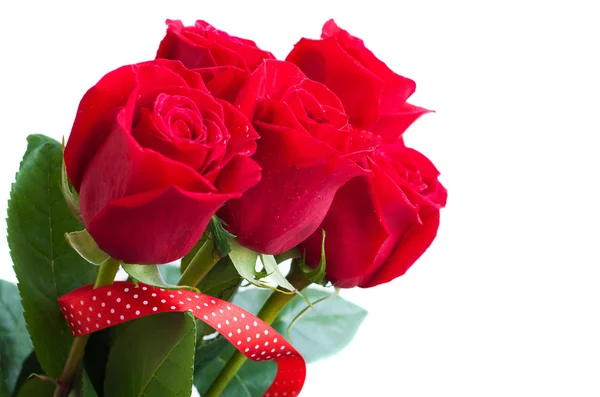 Bouquet of red roses — Stock Photo, Image