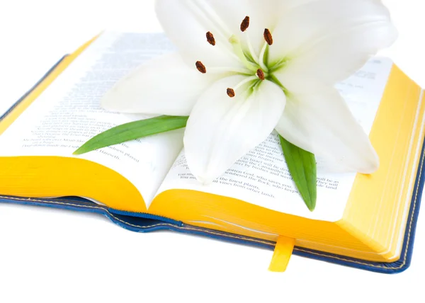 Wielkanocna lilia i Biblia — Zdjęcie stockowe