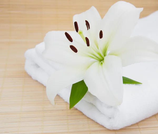 Beyaz lilly ve havlu — Stok fotoğraf