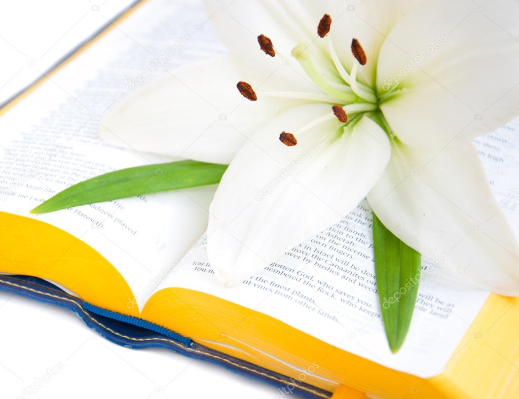 Easter Lily and Bible Stock Photo by ©ls992007 14525359