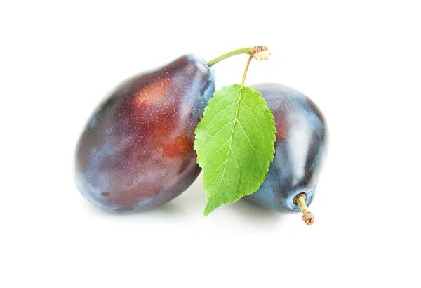 Plums with green leaves — Stock Photo, Image