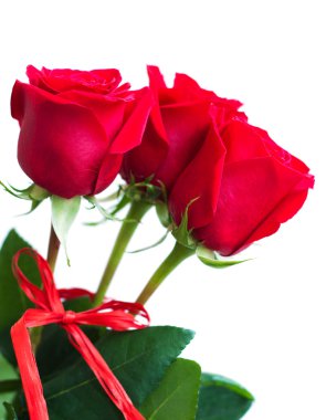 Bir buket kırmızı gül.