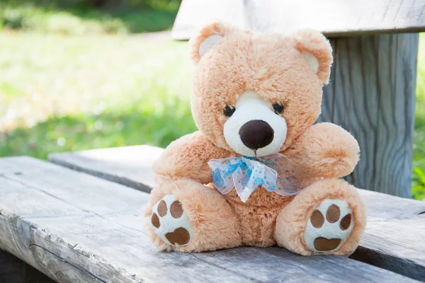 Teddy bear on the bench — Stock Photo, Image