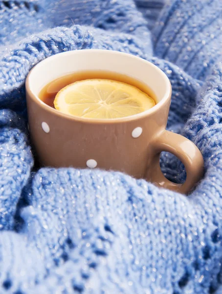 Tazza di tè in inverno — Foto Stock
