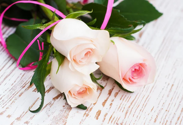 Pink Roses — Stock Photo, Image