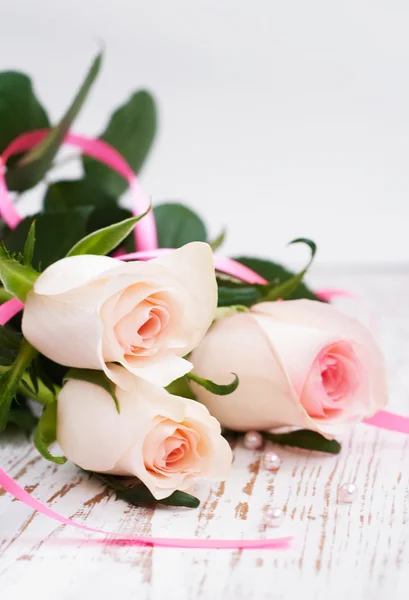 Pink Roses — Stock Photo, Image