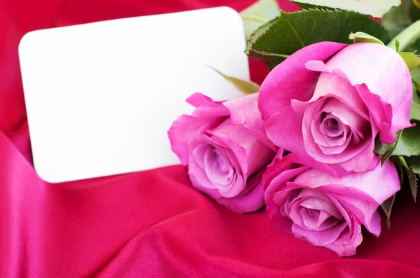 Carte vierge pour votre message et roses roses — Photo