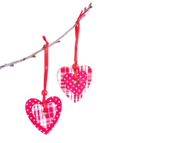 bir dal üzerinde asılı Kalpler