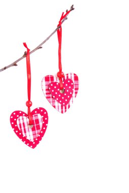 bir dal üzerinde asılı Kalpler