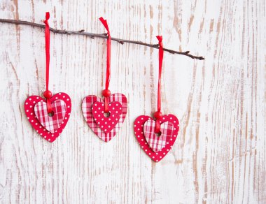 bir dal üzerinde asılı Kalpler