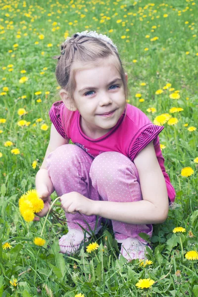 Jong meisje in een veld van paardebloemen — Stockfoto