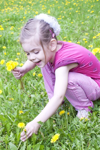 Jong meisje in een veld van paardebloemen — Stockfoto