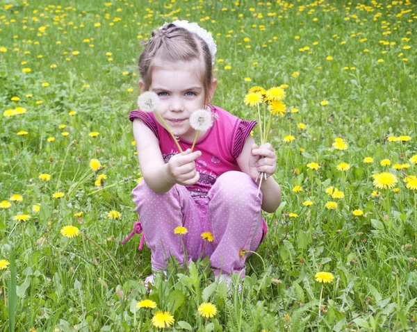 Jong meisje in een veld van paardebloemen — Stockfoto