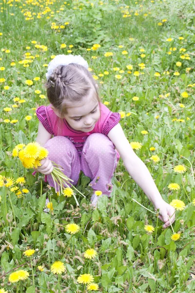 Jong meisje in een veld van paardebloemen — Stockfoto