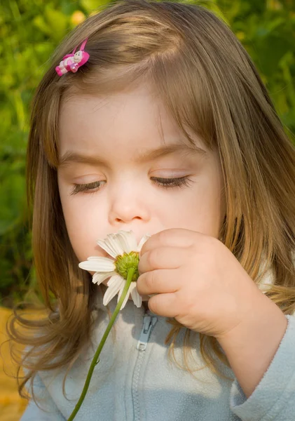 Little girl smelling camomile — Stock Photo, Image