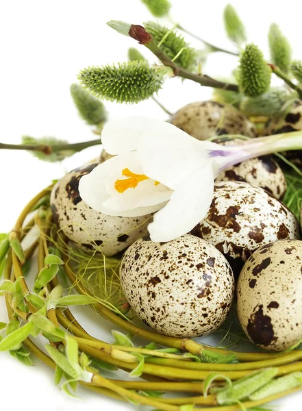 Huevos de Pascua —  Fotos de Stock