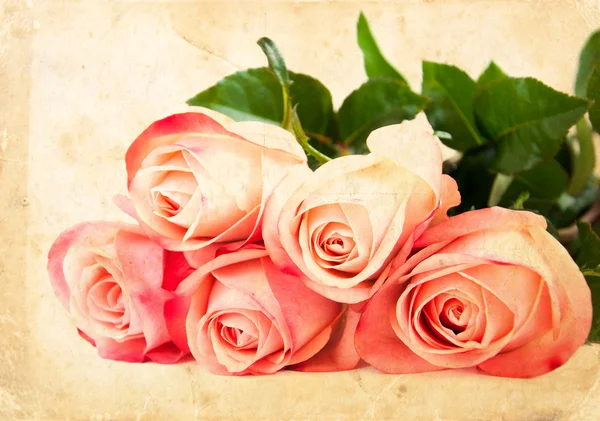 Grunge karta s růží — Stock fotografie