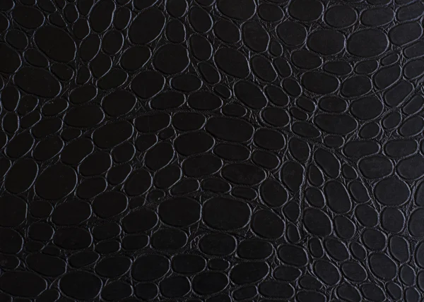Background Black Snake Leather — Stock Photo, Image