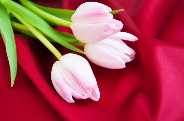 Tulipany na czerwono satyna — Zdjęcie stockowe