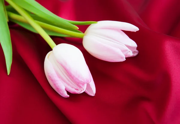 Tulipany na czerwono satyna — Zdjęcie stockowe